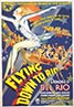 Flying Down to Rio
