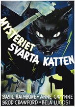 The Black Cat