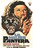 Cat People