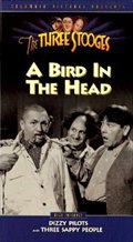 A Bird in the Head