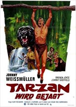Tarzan and the Huntress