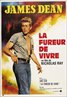 Rebel Without a Cause