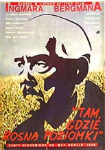 Wild Strawberries (1957)