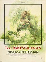 Wild Strawberries