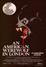 An American Werewolf in London