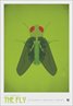 The Fly