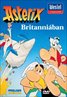 Asterix and the Big Fight