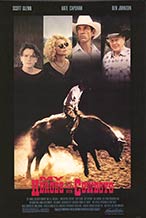 My Heroes Have Always Been Cowboys