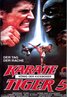 The King of the Kickboxers