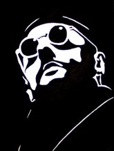 The Professional