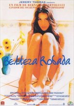 Stealing Beauty