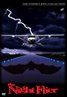 The Night Flier
