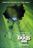 A Bug's Life
