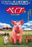 Babe: Pig in the City