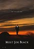 Meet Joe Black (1998)