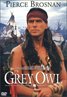Grey Owl