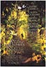 A Midsummer Night's Dream