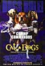 Cats and Dogs