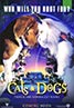 Cats and Dogs