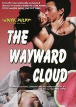 The Wayward Cloud