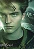 Harry Potter and the Goblet of Fire