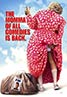 Big Momma's House 2