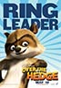 Over the Hedge