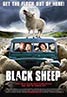 Black Sheep