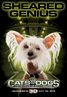 Cats & Dogs: The Revenge of Kitty Galore