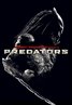 Predators