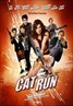 Cat Run