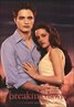 The Twilight Saga: Breaking Dawn - Part 1