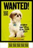 Seven Psychopaths