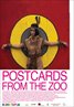 Postcards From the Zoo